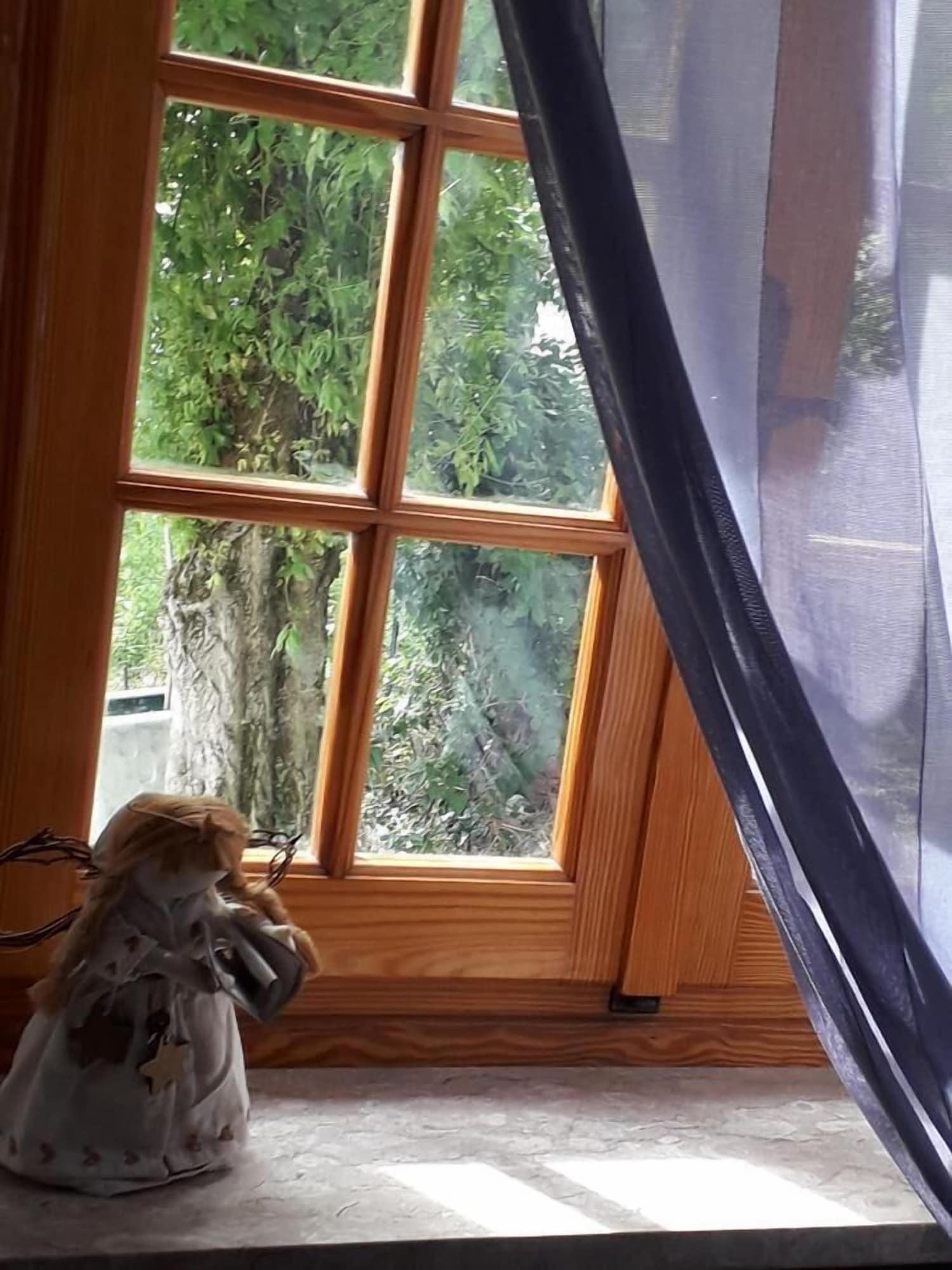 Comodidades del Alojamiento La Casa nel Verde