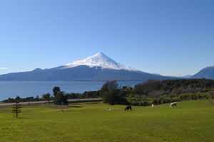 Actividad - Excursión Volcán Osorno y Saltos del Petrohue (ls).