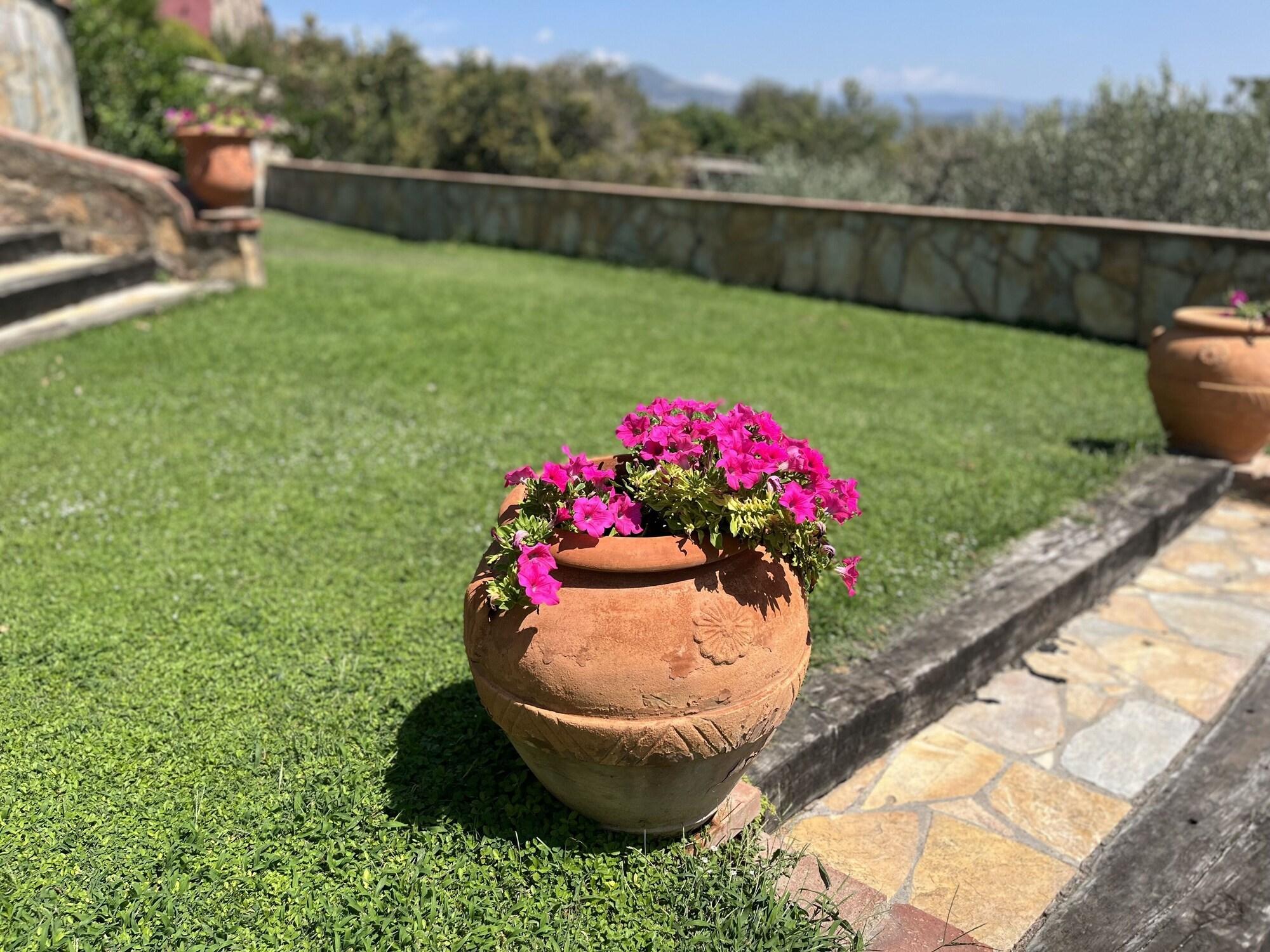 Vista Exterior Masia Can Viver - Olive oil tourism B&B