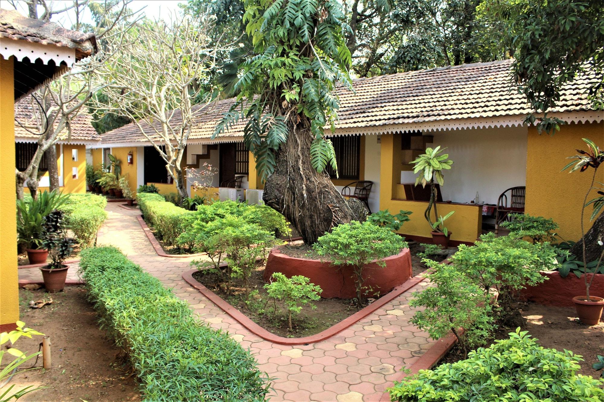 Habitación Granpa's Inn Hotel Bougainvillea
