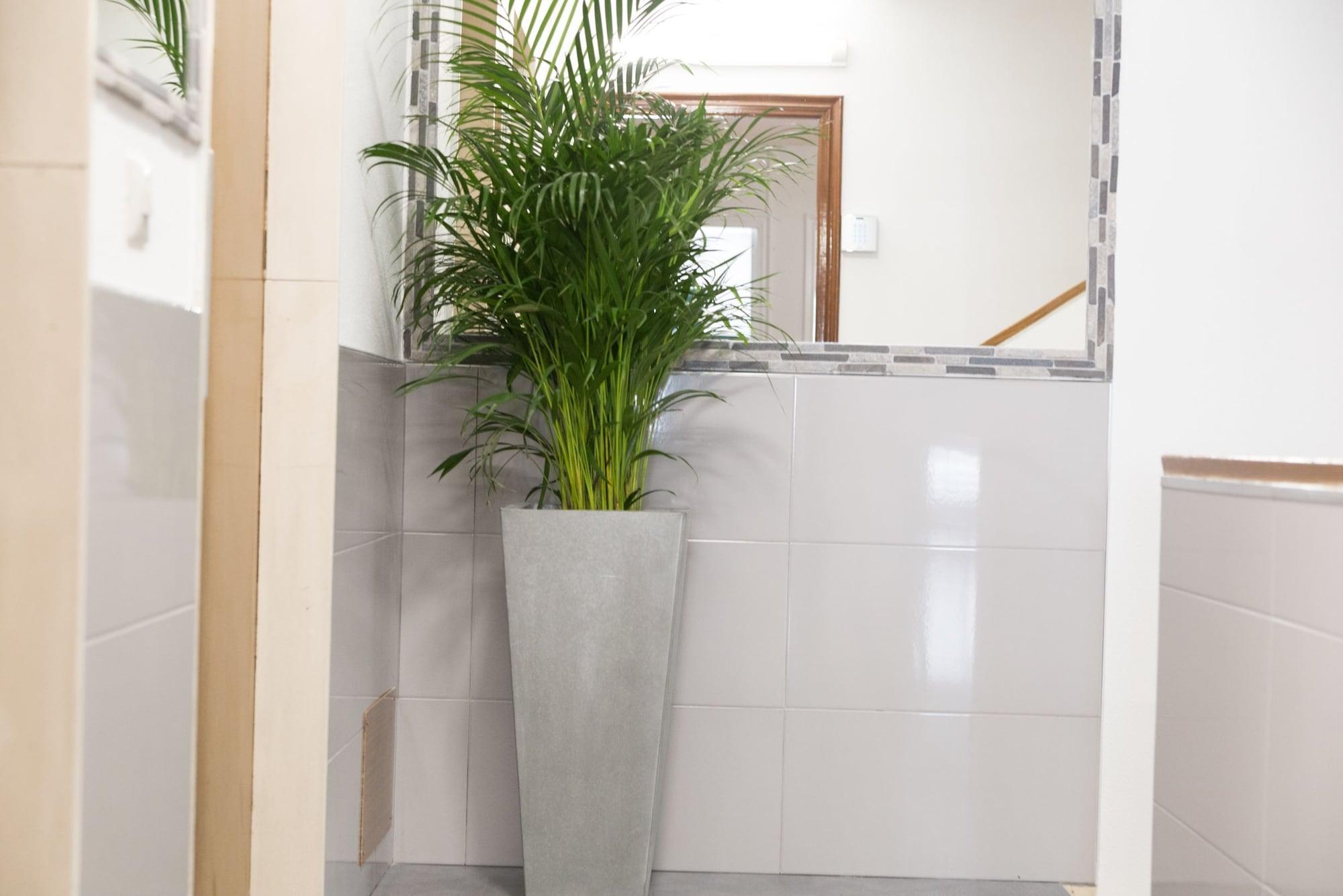 Vista Lobby Rey Fernando