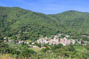 Alquiler Vacacional - Fortified house (16th century tower) in the heart of a village in southern corsica
