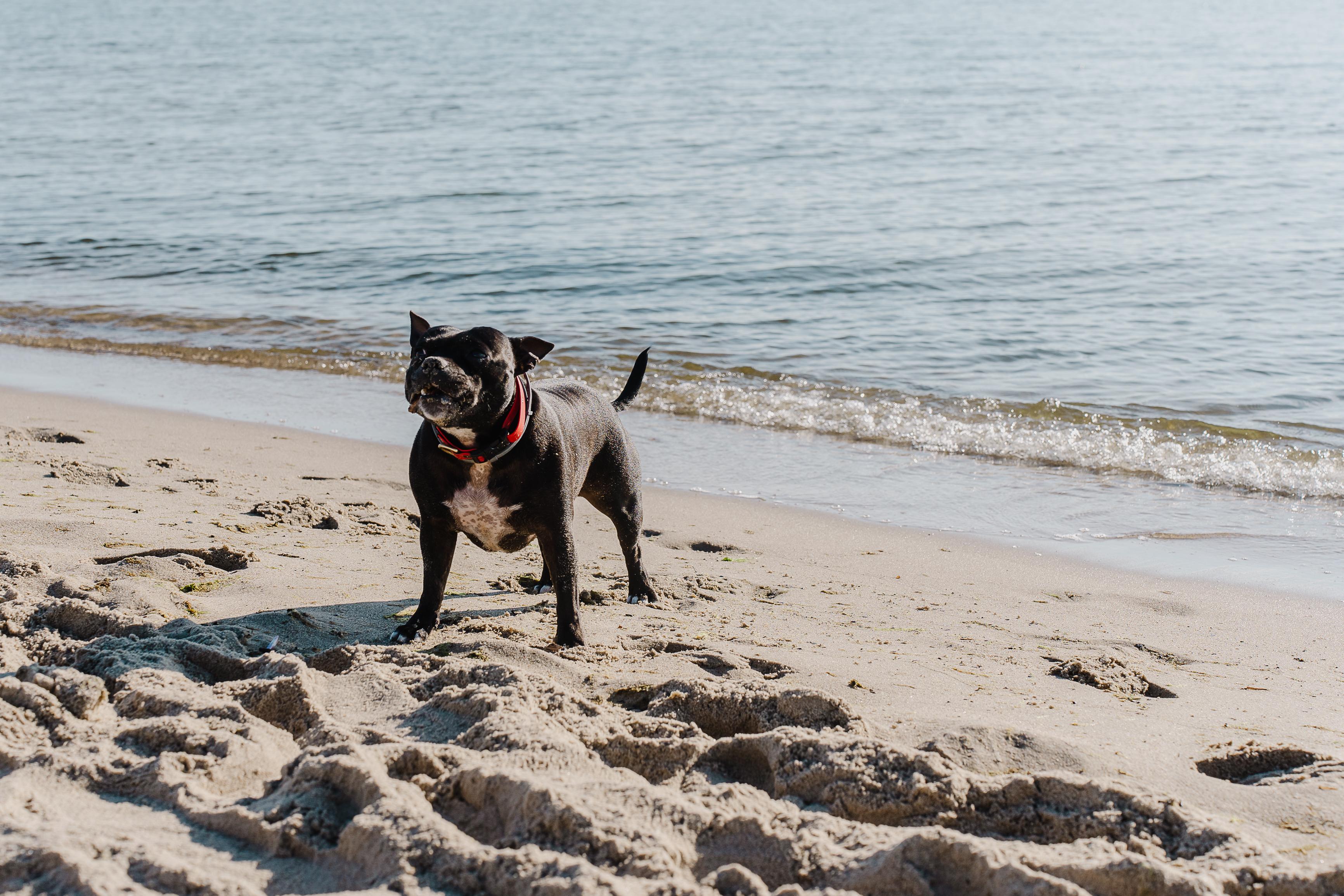 Playa Hotel Aqua Sopot - Destigo Hotels