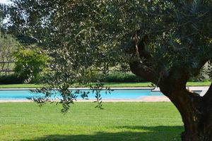Renta temporal - LA GHIGA Farmhouse, Soratte cottage in a green area with a shared pool