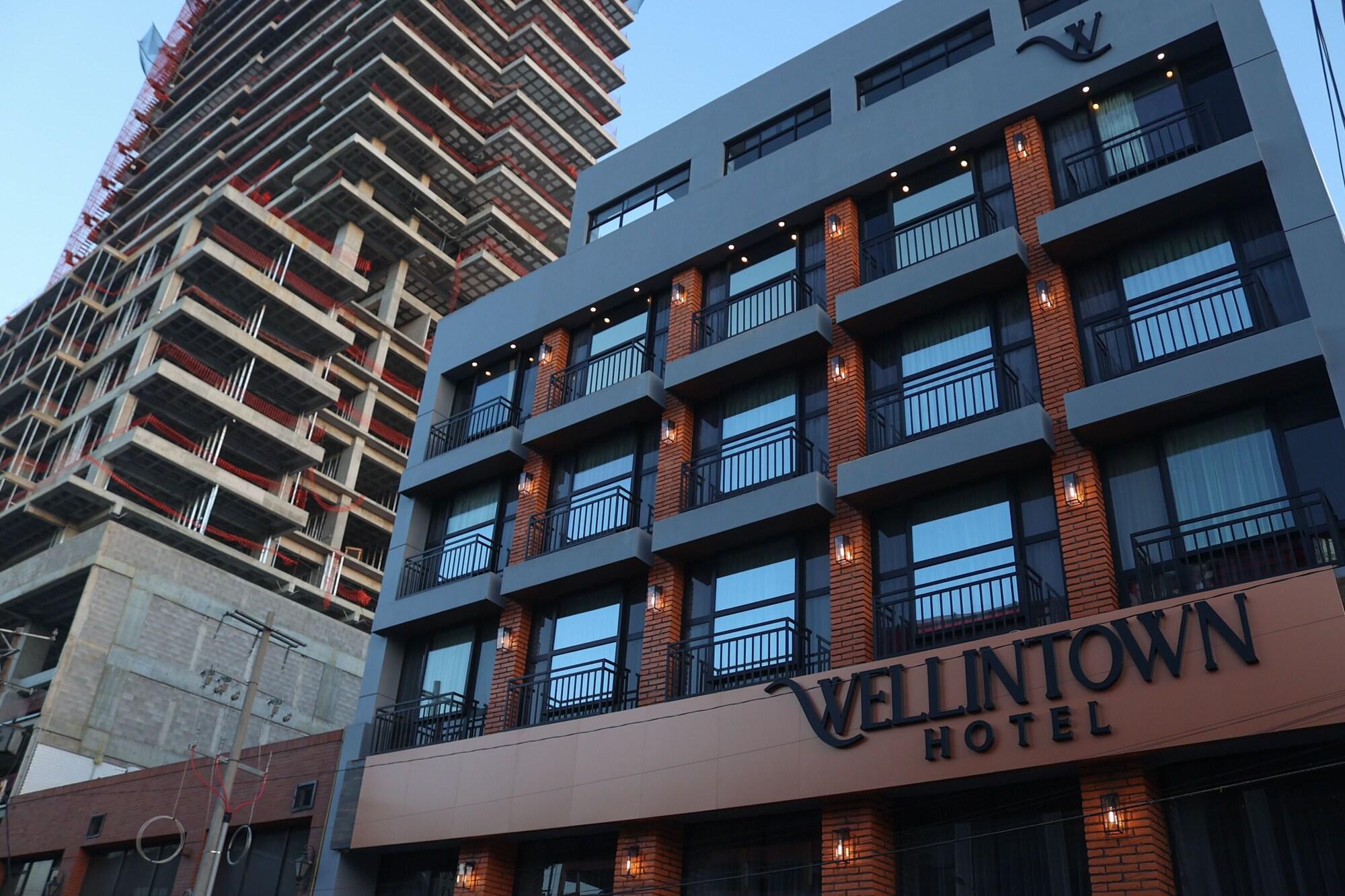 Vista Exterior Hotel Wellintown