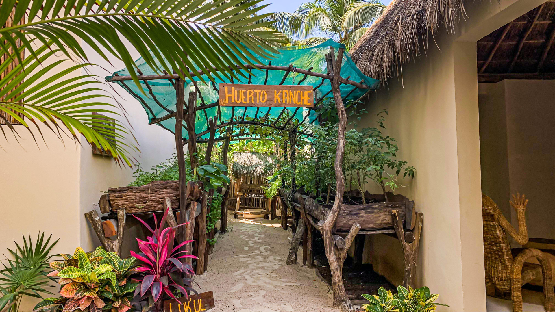 Comodidades del Alojamiento Dune Boutique Hotel located at the party zone