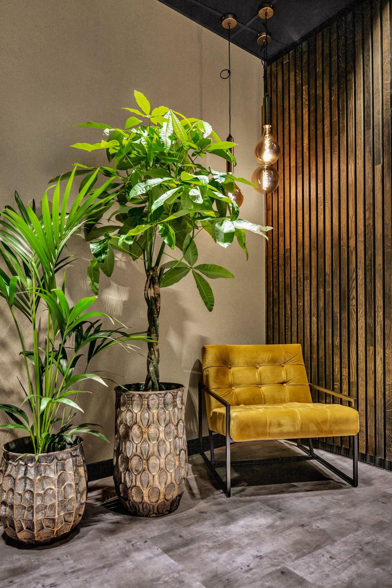 Varios Origo Leilighetshotell - Øvre Storgate 5