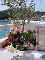 Alojamiento - Geo & Art Boutique Hotel