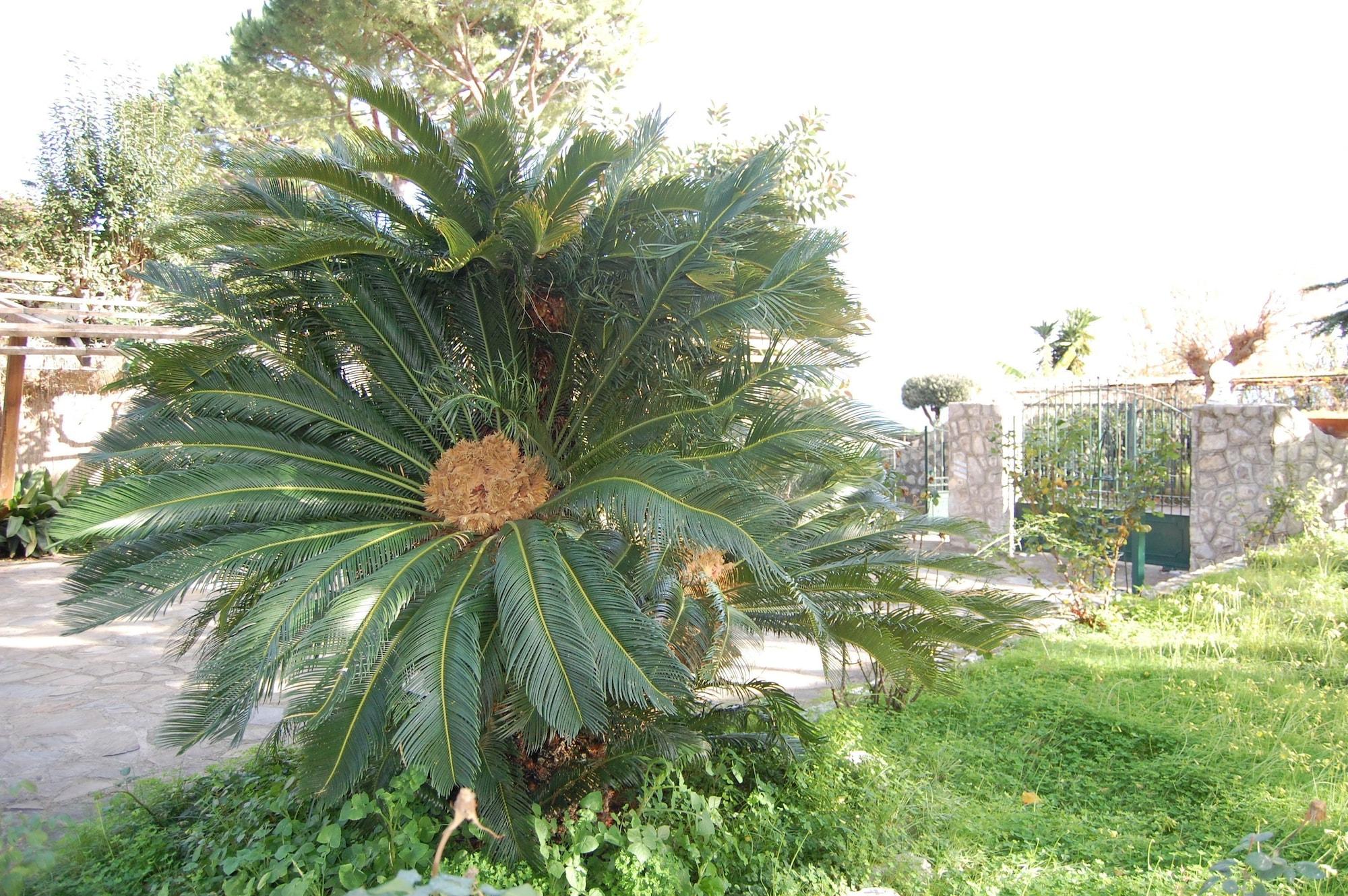 Vista Lobby Marina Del Cantone Chalet
