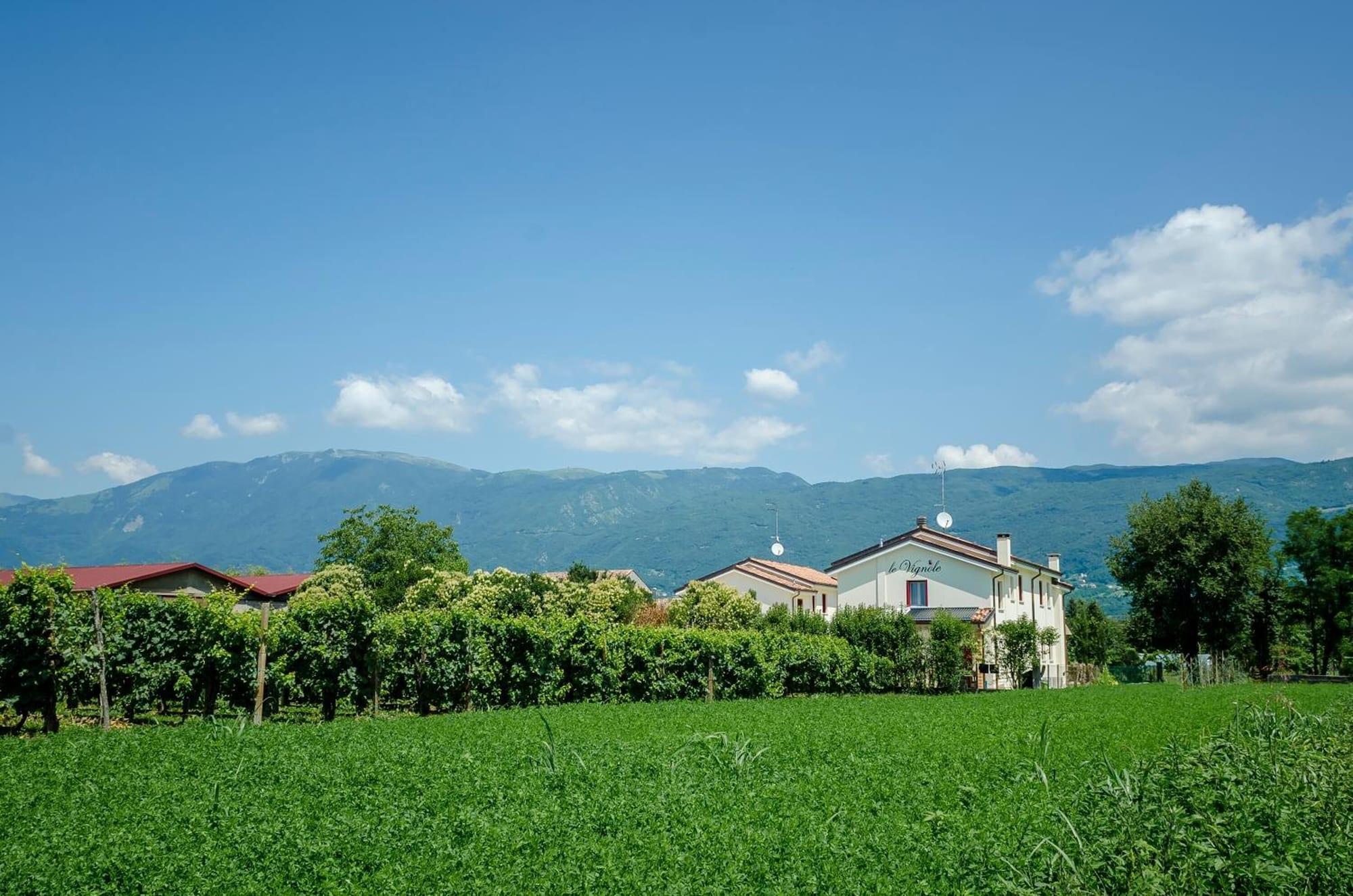 Vista Exterior Alloggi Agrituristici Le Vignole