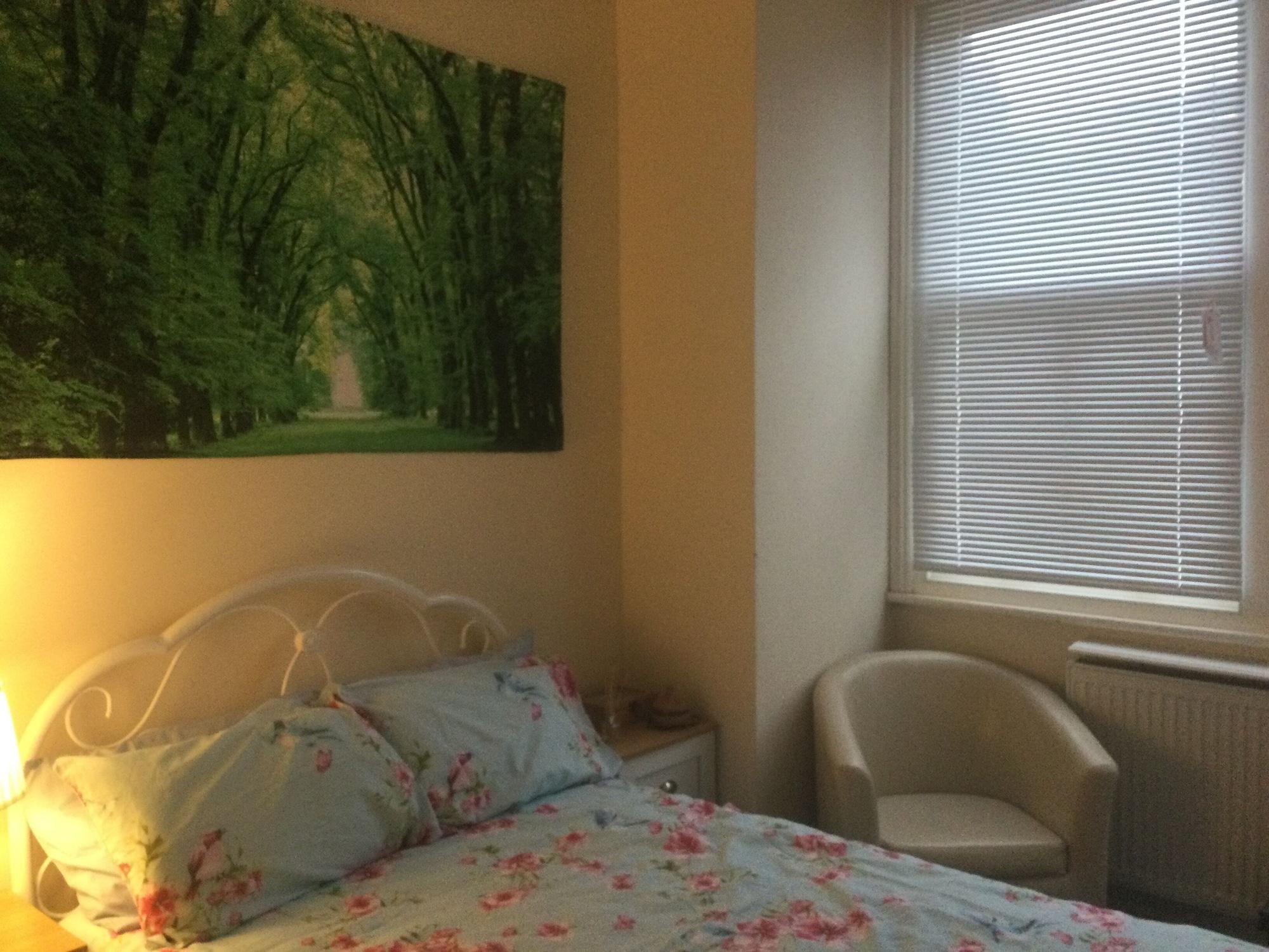 Varios TDM Bachelot Lettings