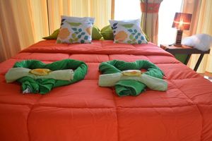 Alojamiento - Hotel Tortuguero Jungle