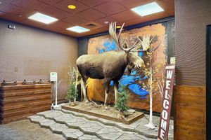 Alojamiento - Quality Inn Fort Frances