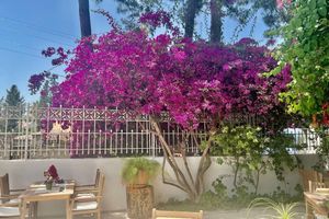 Alojamiento - Carikci Hotel