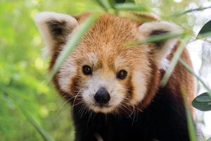 Actividad - Entrada Filadelfia CityPASS C®