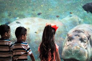 Actividad - San Antonio CityPASS® - Access to 4 attractions