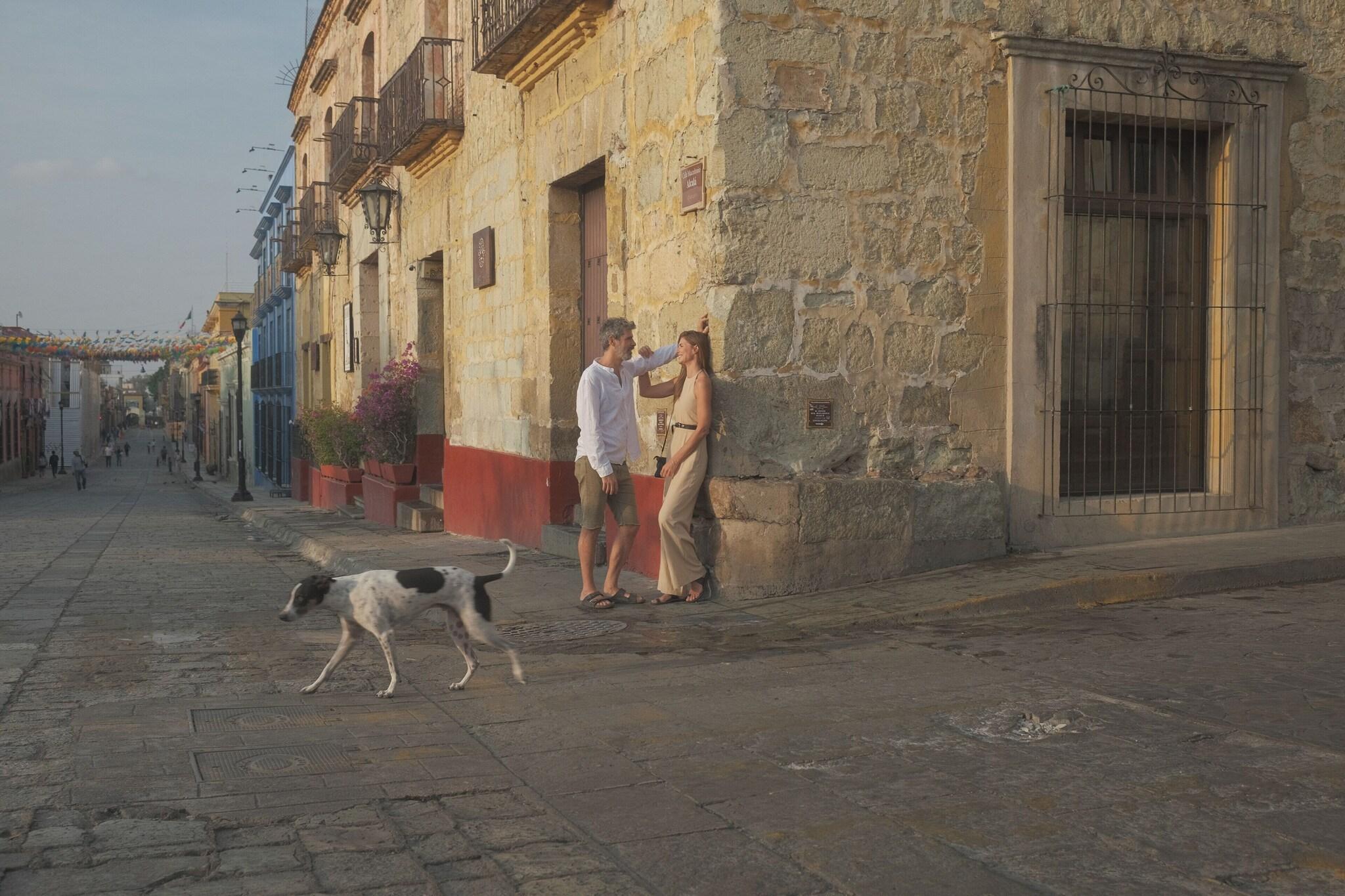 Instalaciones Recreativas Pug Seal Oaxaca