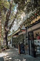 Alojamiento - Casa Sabina