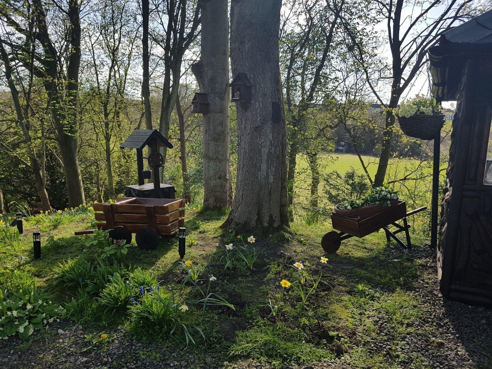 Comodidades del Alojamiento Bonkle House