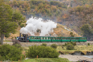 Actividad - Tren del Fin del Mundo y Parque Nacional
