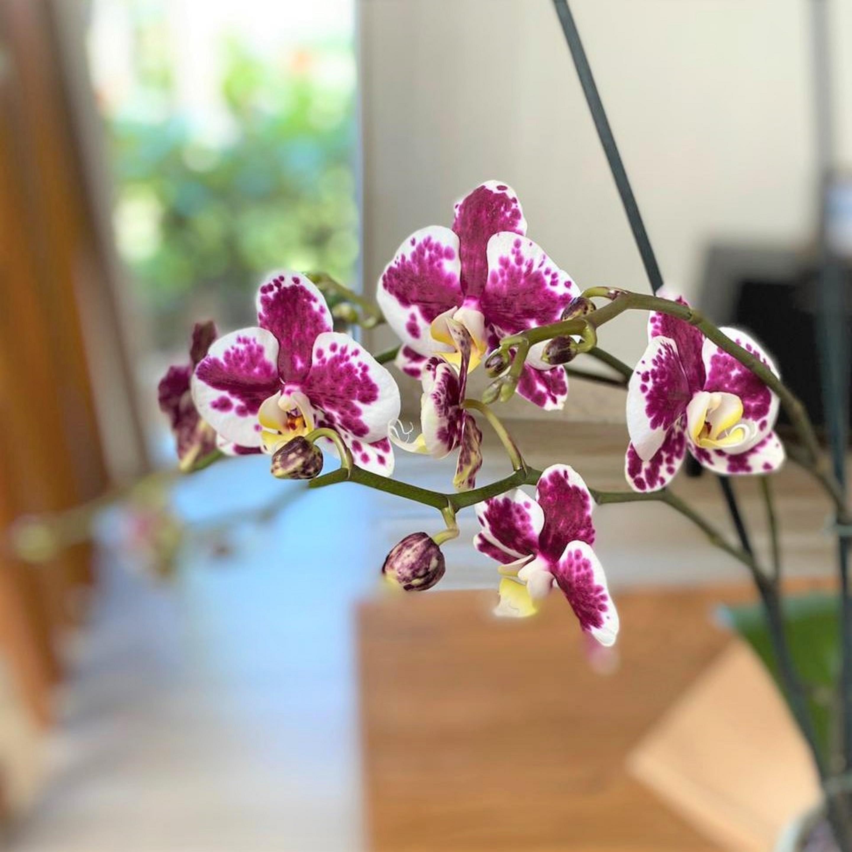 Habitación Breathless Punta Cana