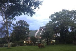 Alojamiento - Cuckoo's Nest Guest House