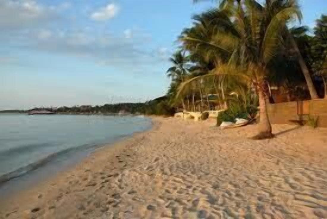 Playa The Lounge - Hostel