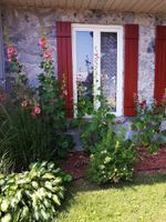 Alojamiento - Au Gîte de la Chute