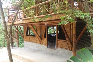 Alojamiento - Hostal Restaurante Las Heliconias