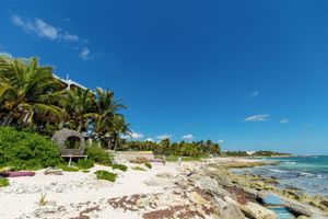 Alojamiento - Angelina 28 Beachfront and Family Apartments - Modern and Relaxing Long Stays (20 min from Cancun Airport)