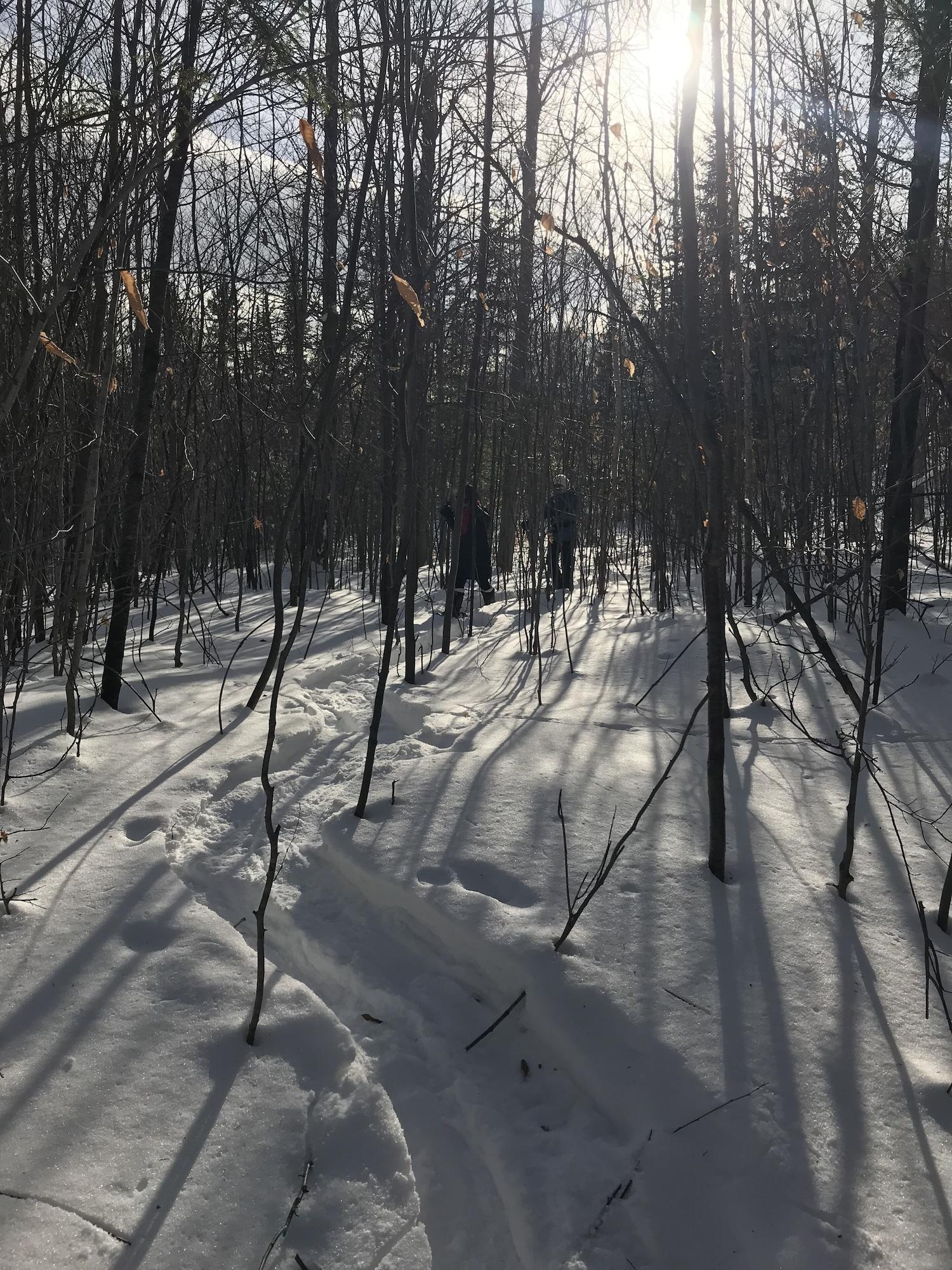 Instalaciones Recreativas Auberge Du Sault-A-La-Puce