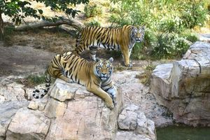 Actividad - Terra Natura Benidorm