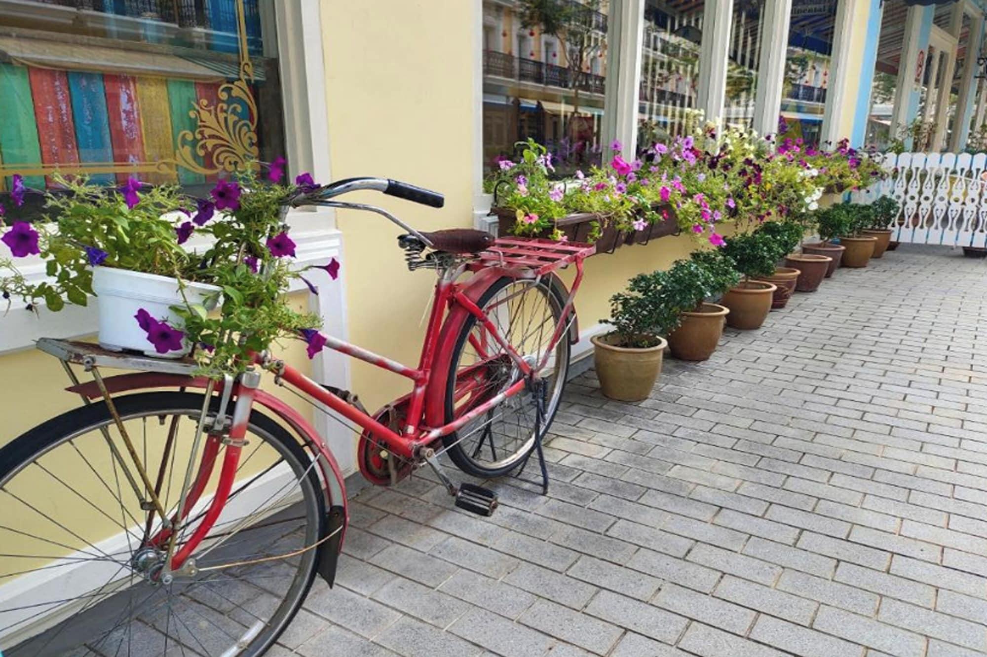 Varios Sha La La Hostel