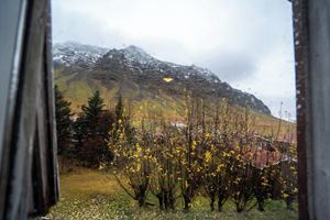 Alojamiento - Guesthouse Gerði