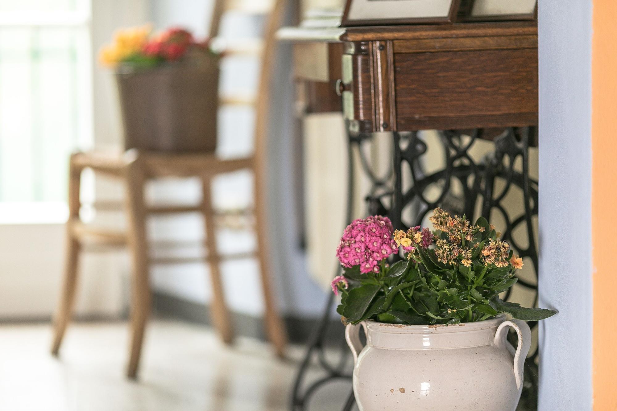 Vista Lobby Albergo Diffuso Ca' Spiga