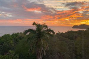 Arriendo temporal - Best View in Samara! 4BR/3.5BTH. Walk to the beach or town.