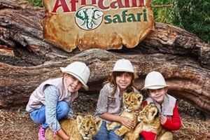Actividad - Traslado y admision a Africam Safari