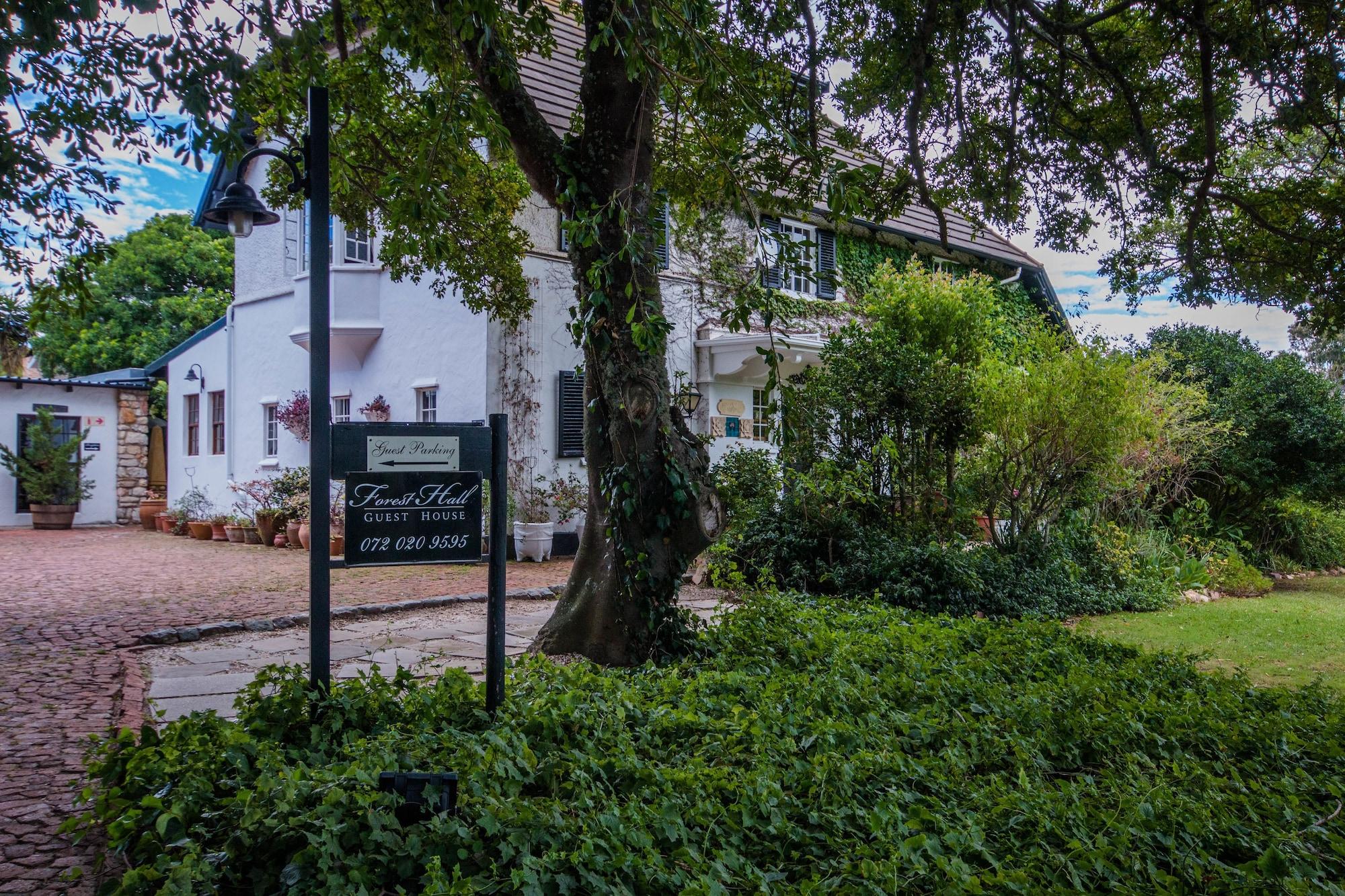 Vista Lobby Forest Hall Guest House