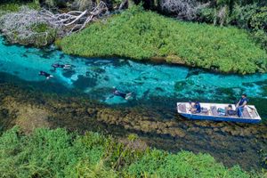 Actividad - Paseo en Bote y Sendero Naciente Río Sucuri