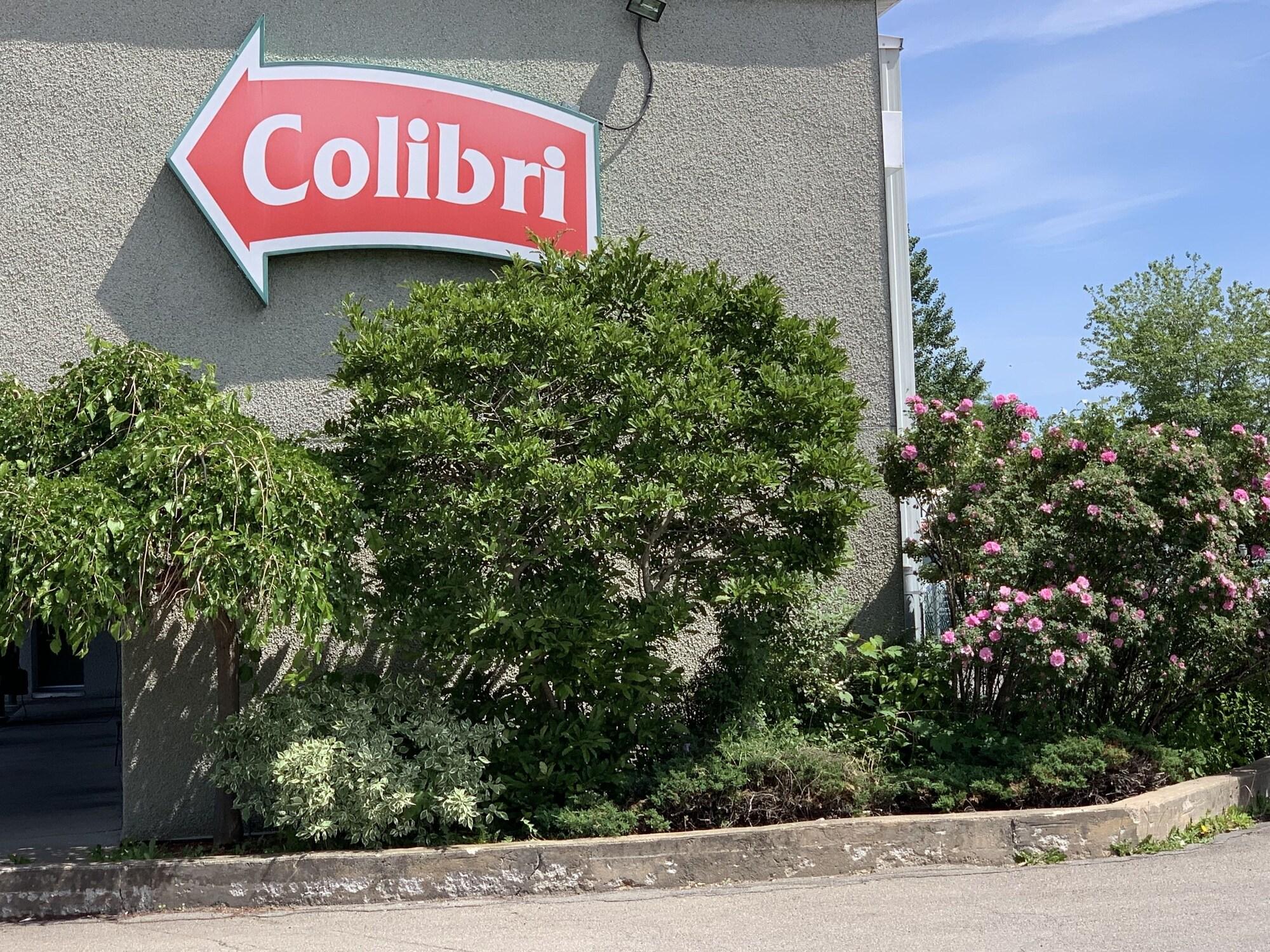 Varios Motel Colibri