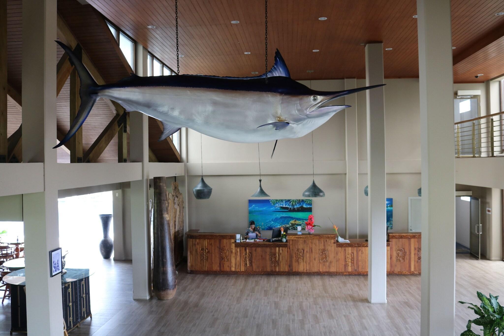 Vista Lobby Cove Resort Palau