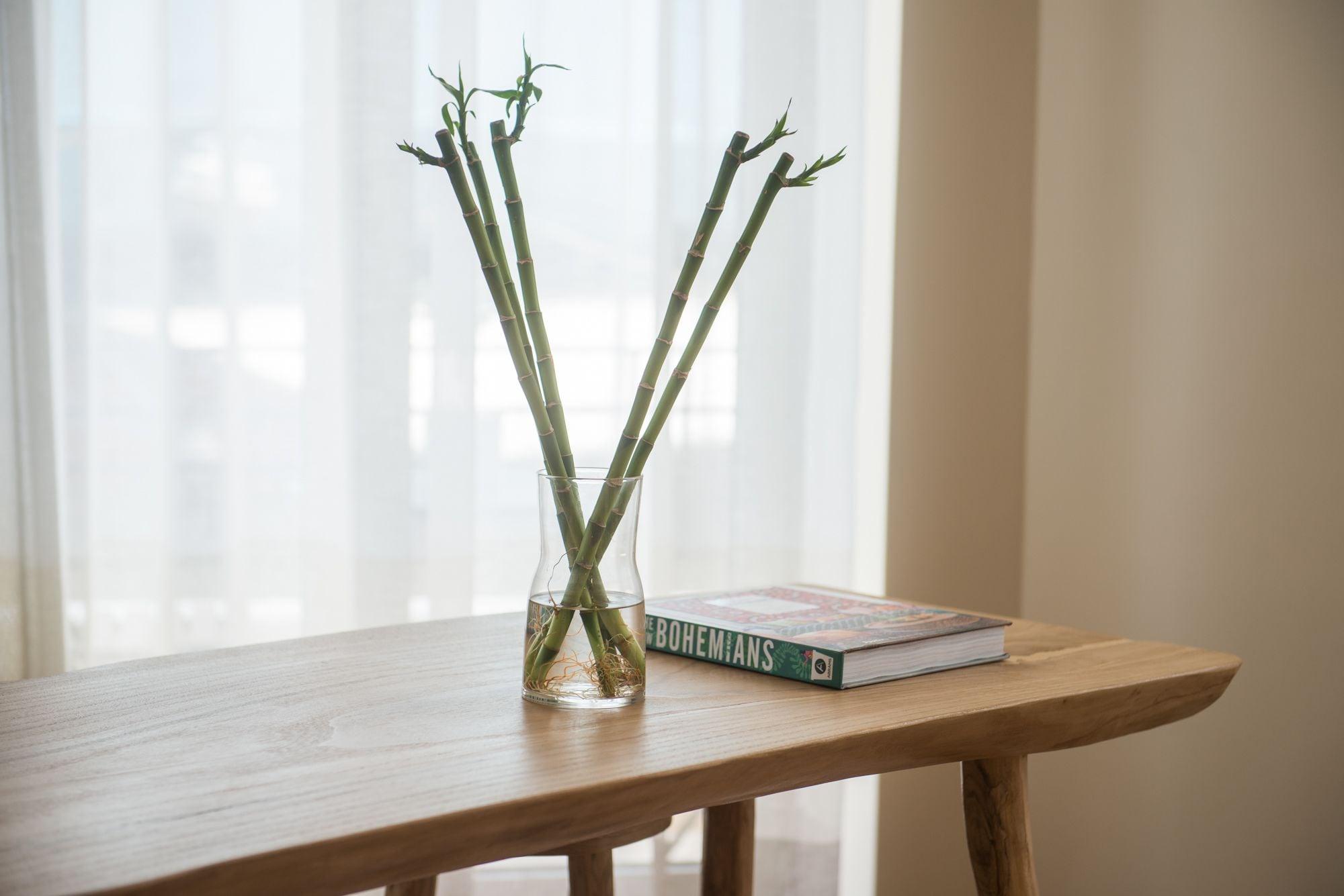 Set de Habitación Ederlezi Boutique Hotel