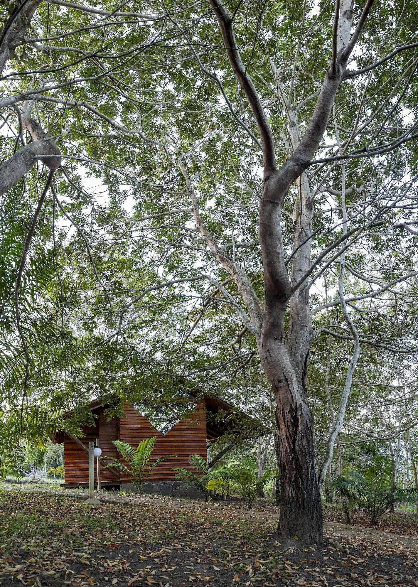 Habitación Huasai Wasi Ecolodge