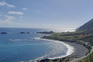 Actividad - Tour del Vino y Costa Salvaje - Día entero en Wellington