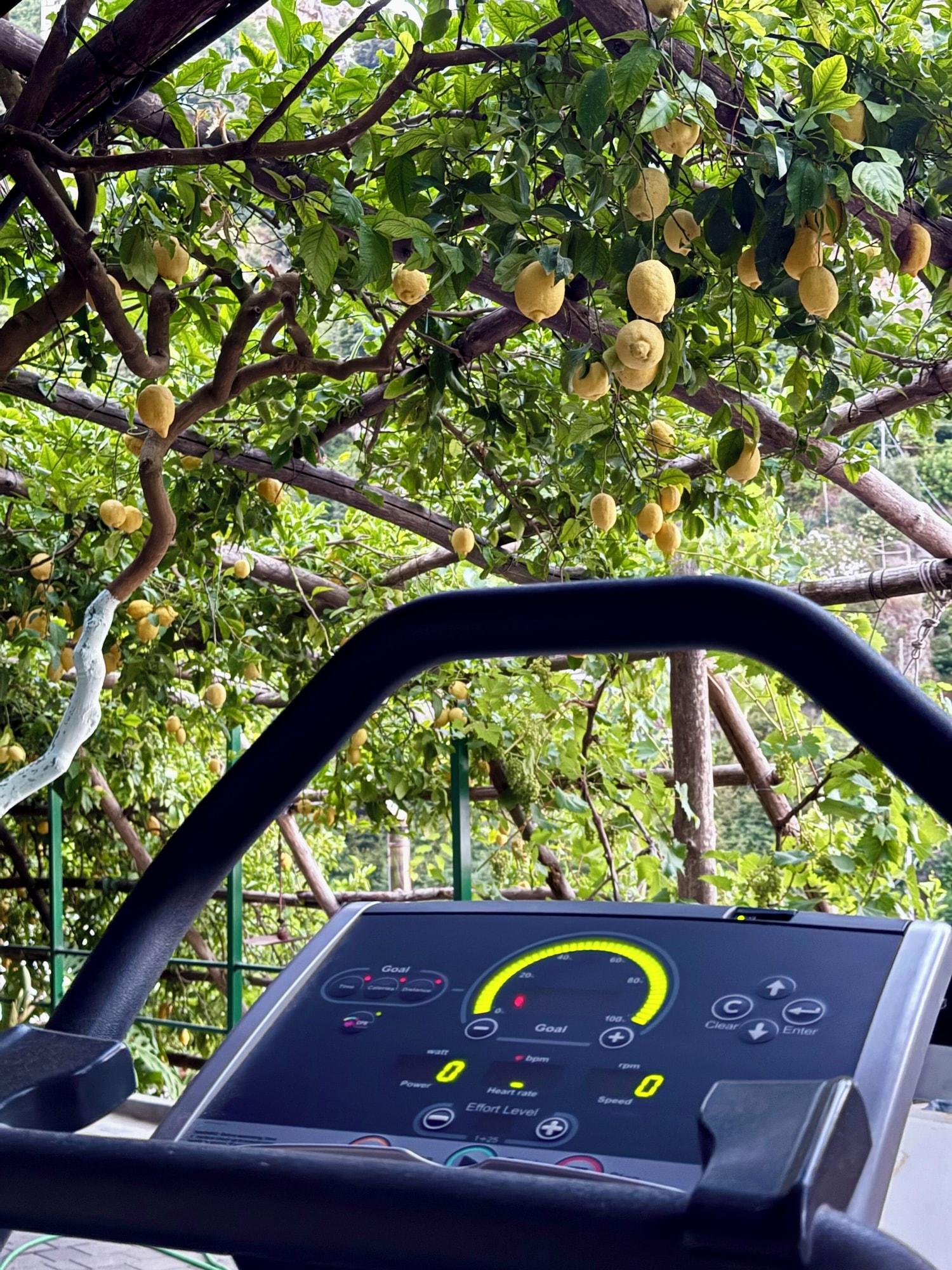 Gimnasio Hotel La Pergola