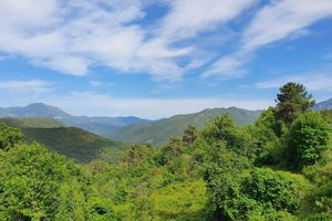 Alojamiento - Hôtel U Frascone