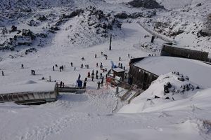 Alquiler Vacacional - BEECH _TREE _LODGE-  BEST PRICE !! SLEEPS 14 -PET FRIENDLY- BOOK NOW