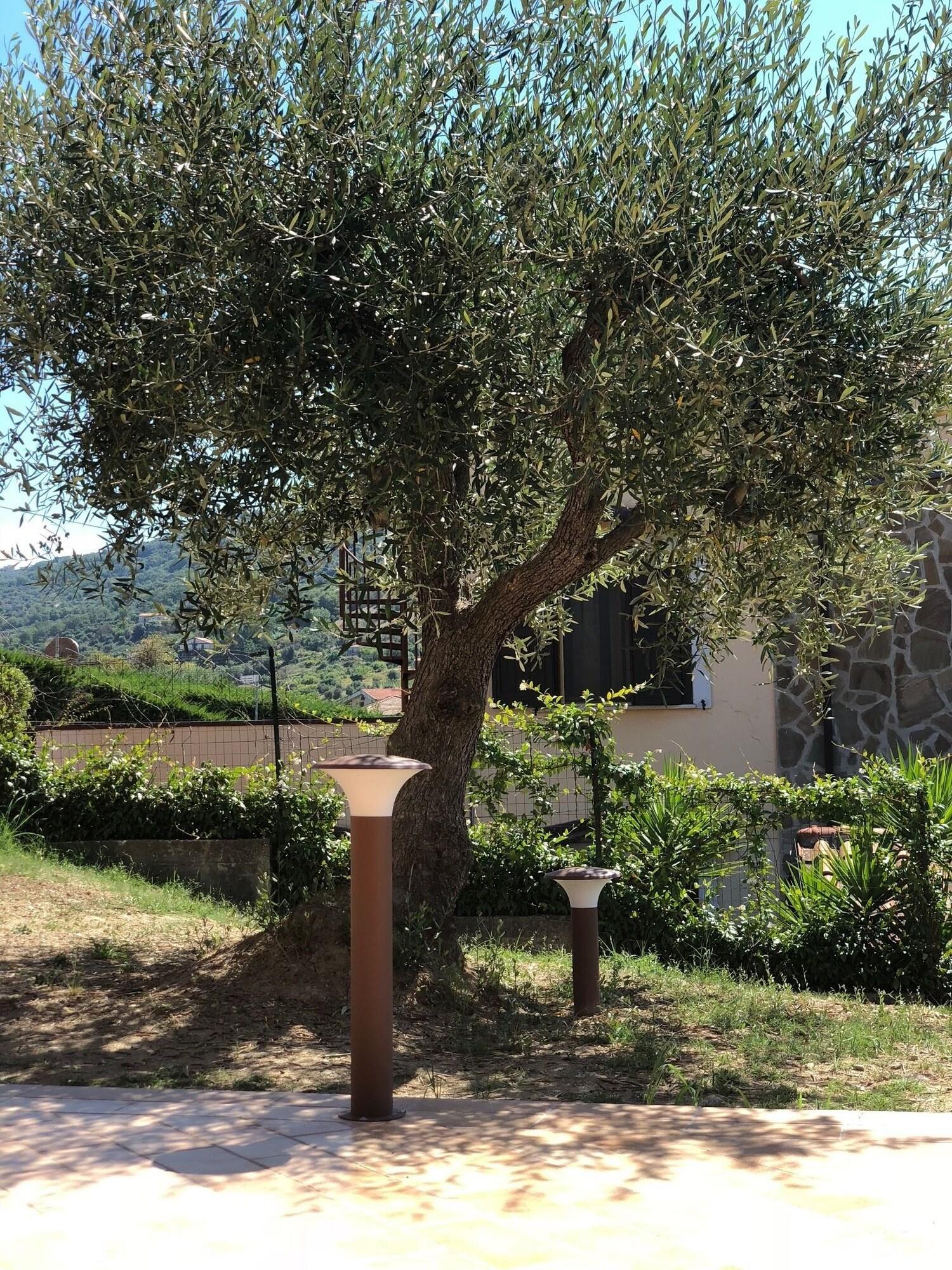 Comodidades del Alojamiento Villa Santangelo