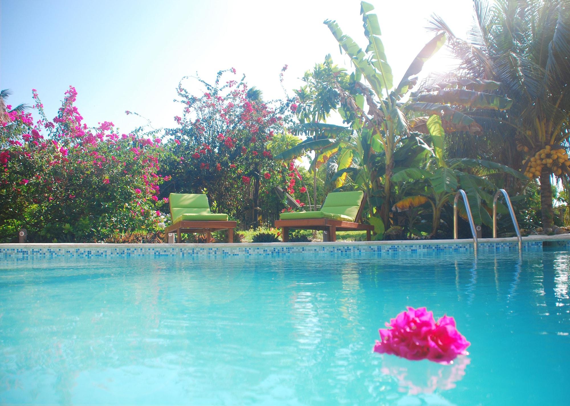 Vista Piscina Margarita del Sol Costa Maya