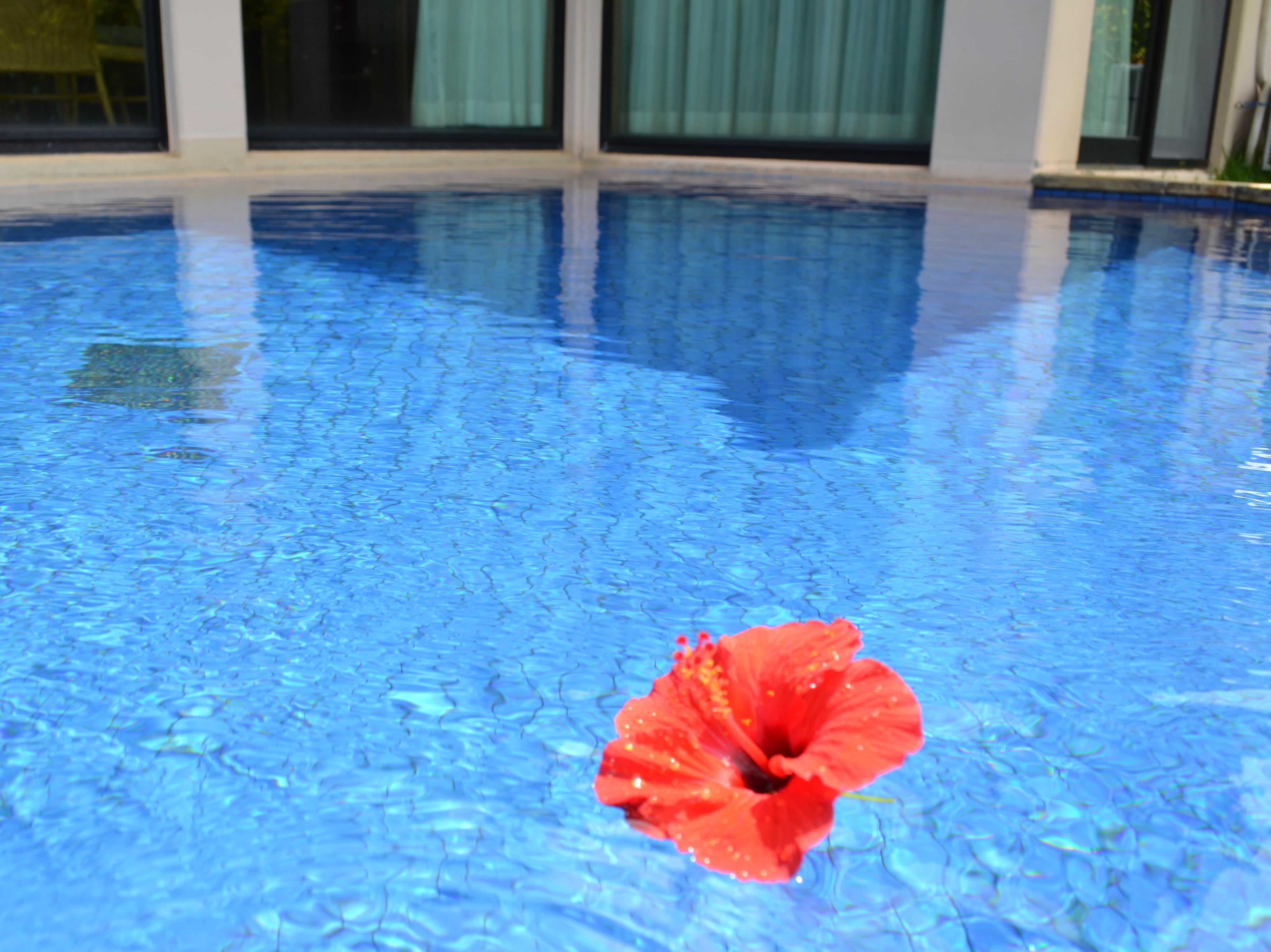 Playa Kanehide Kise Country Club